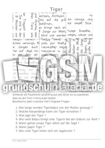 Tiger.pdf